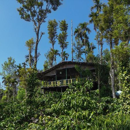 The Mountain Tree Home Wayanad Bagian luar foto
