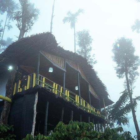 The Mountain Tree Home Wayanad Bagian luar foto