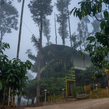 The Mountain Tree Home Wayanad Bagian luar foto