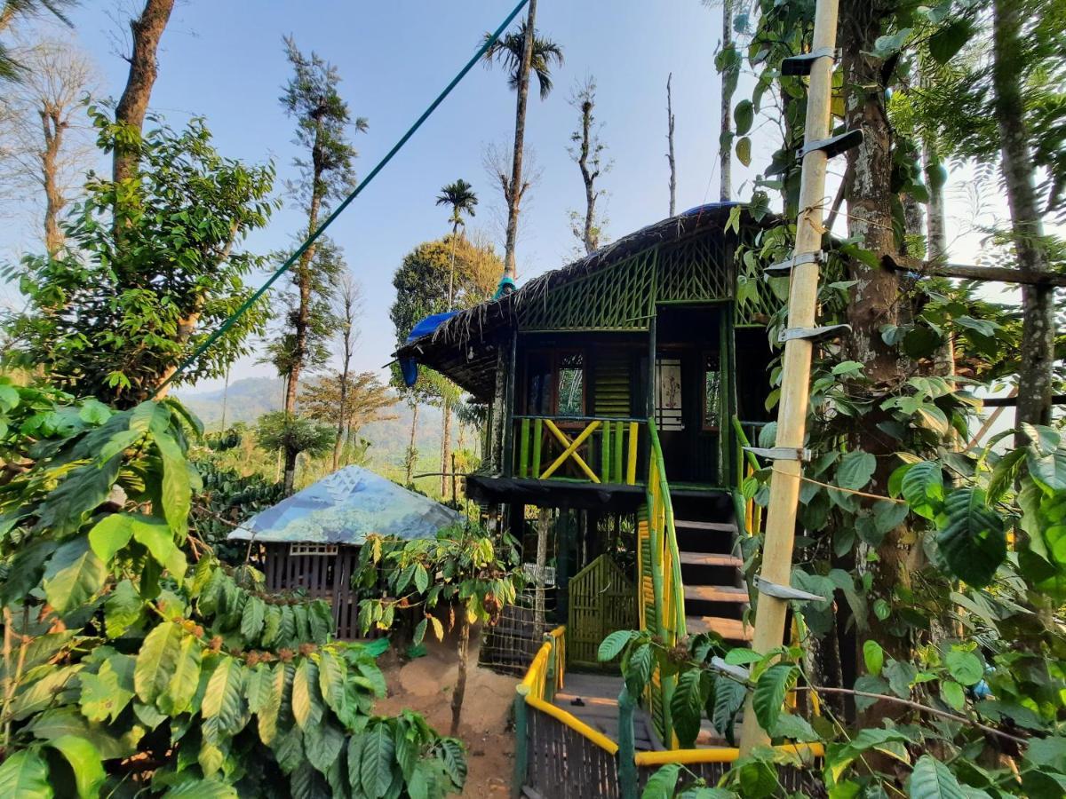 The Mountain Tree Home Wayanad Bagian luar foto