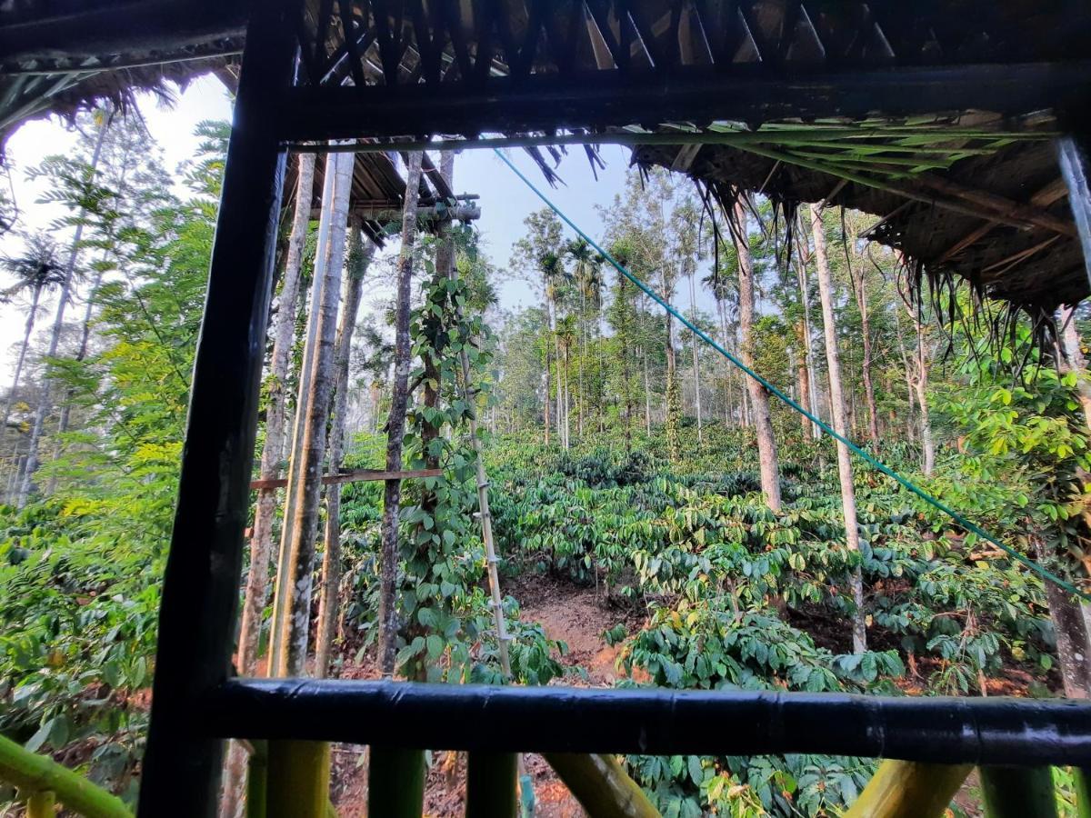 The Mountain Tree Home Wayanad Bagian luar foto