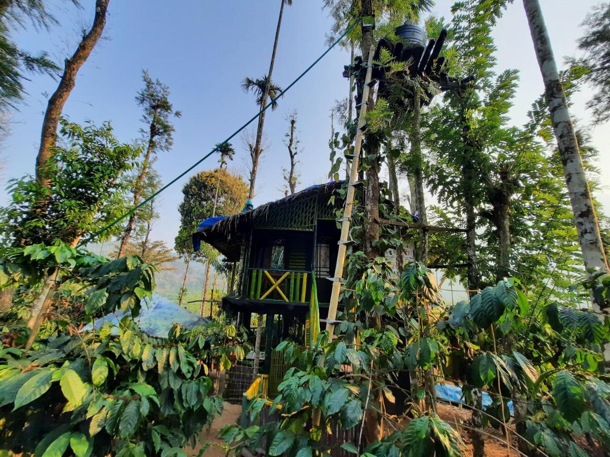The Mountain Tree Home Wayanad Bagian luar foto