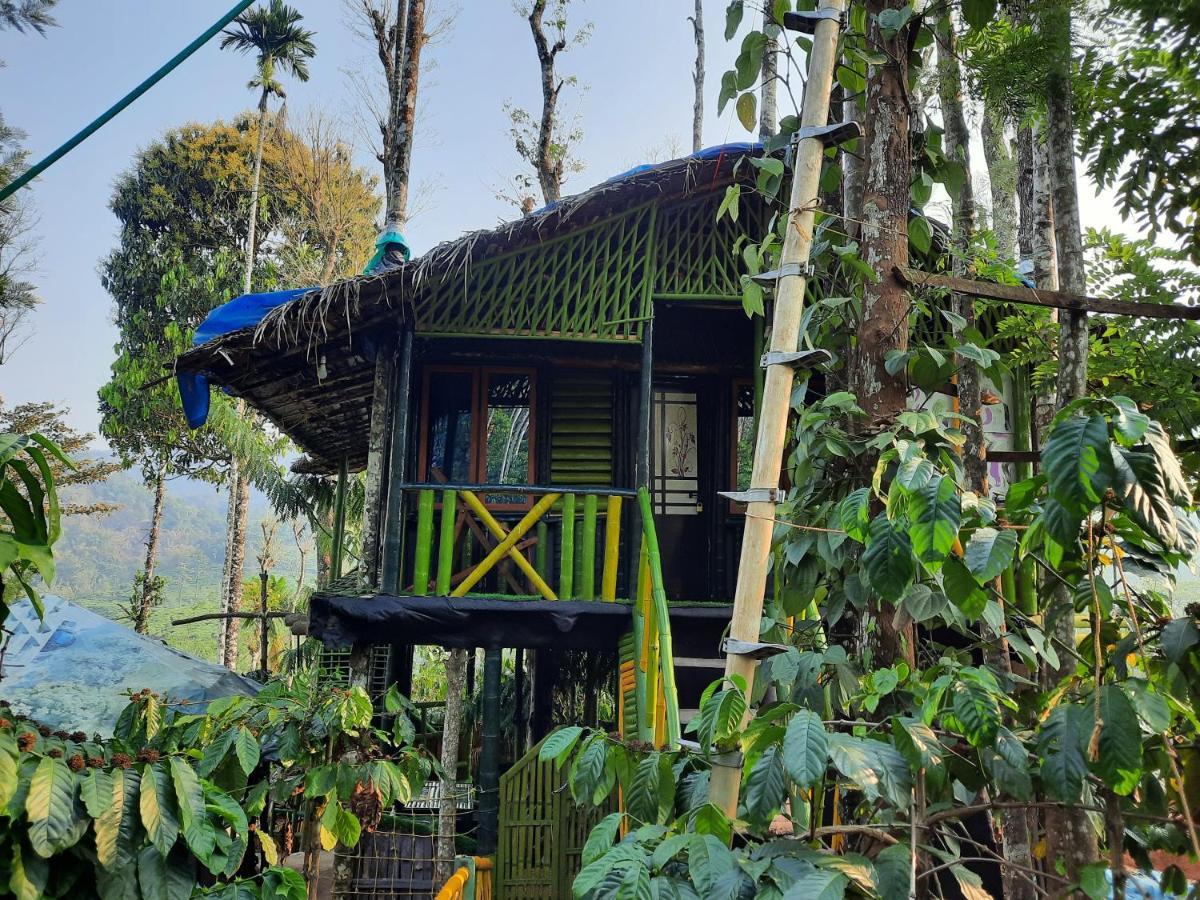 The Mountain Tree Home Wayanad Bagian luar foto