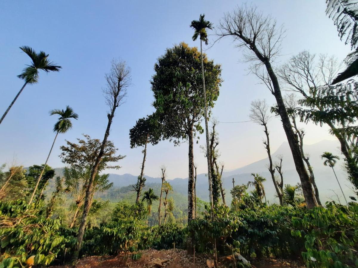 The Mountain Tree Home Wayanad Bagian luar foto