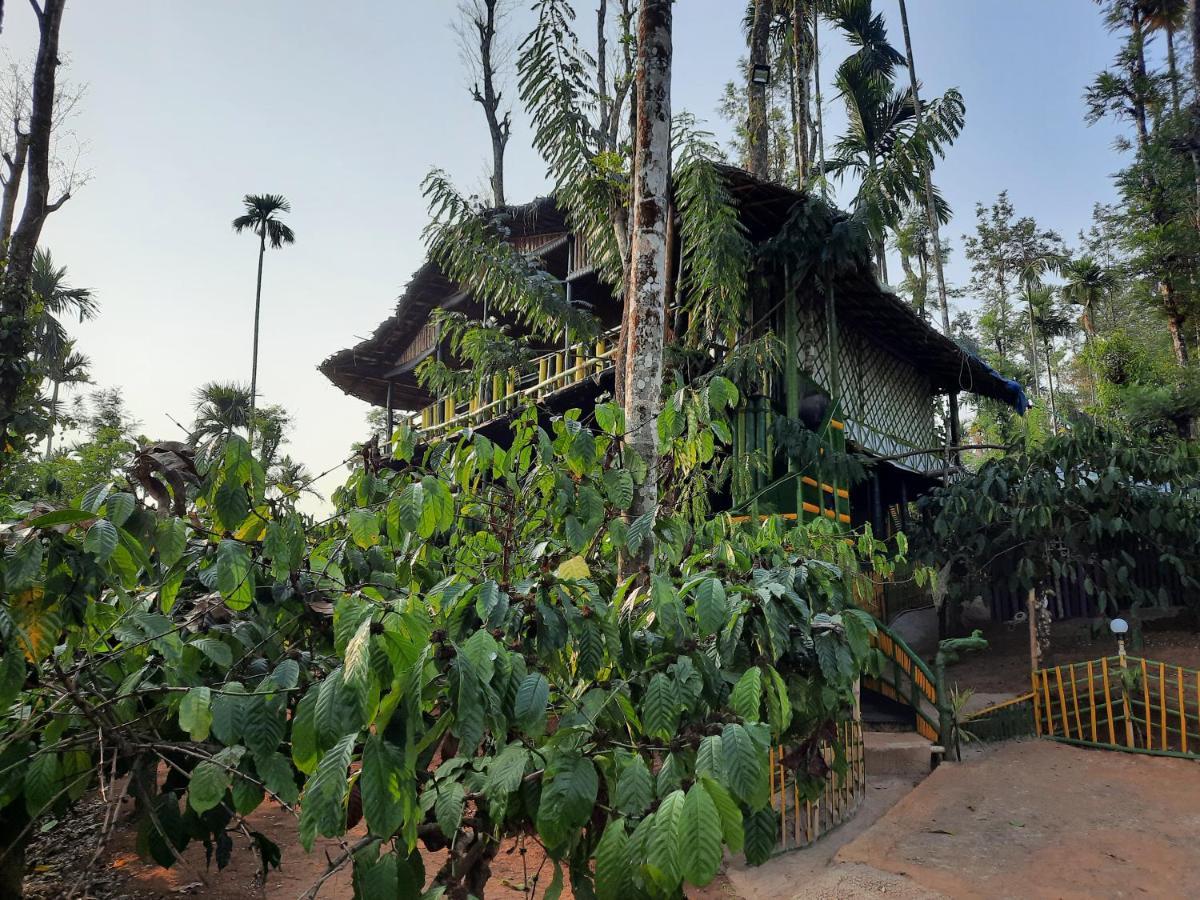 The Mountain Tree Home Wayanad Bagian luar foto