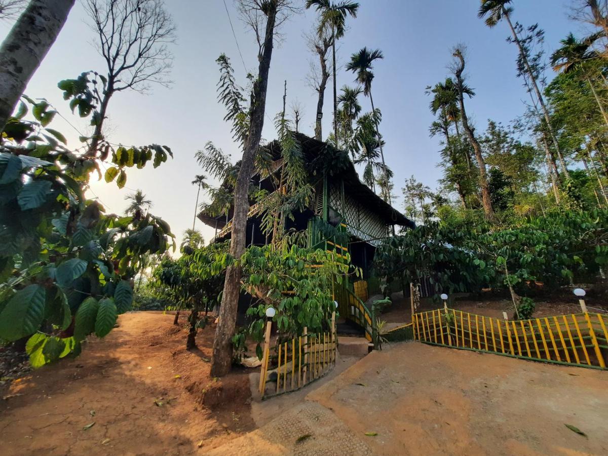 The Mountain Tree Home Wayanad Bagian luar foto