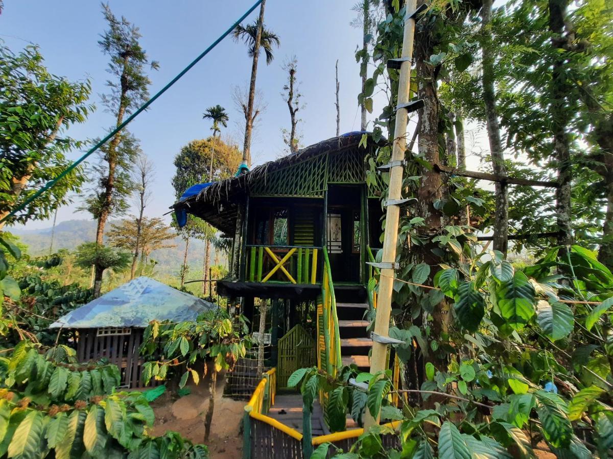 The Mountain Tree Home Wayanad Bagian luar foto