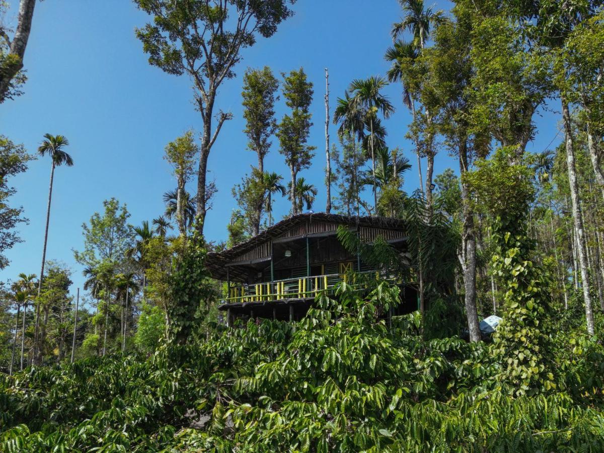 The Mountain Tree Home Wayanad Bagian luar foto