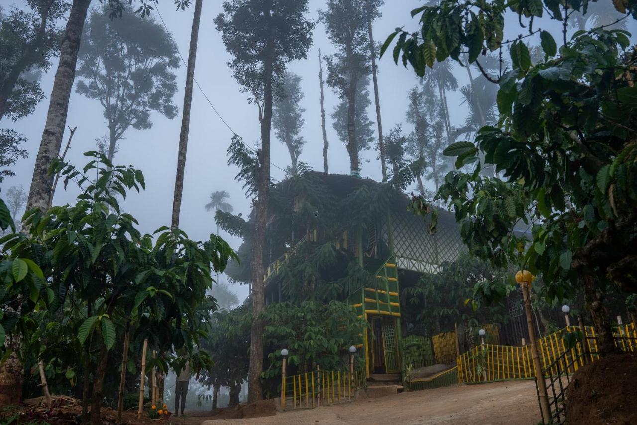 The Mountain Tree Home Wayanad Bagian luar foto