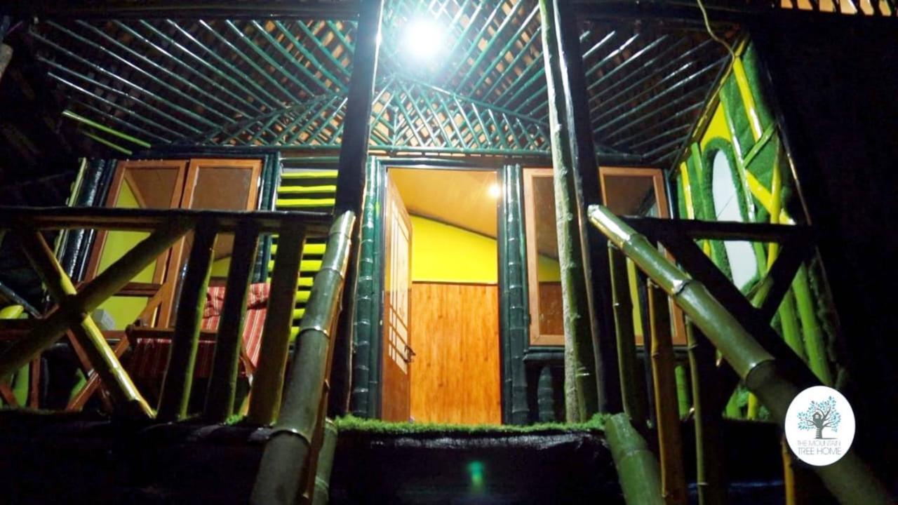 The Mountain Tree Home Wayanad Bagian luar foto