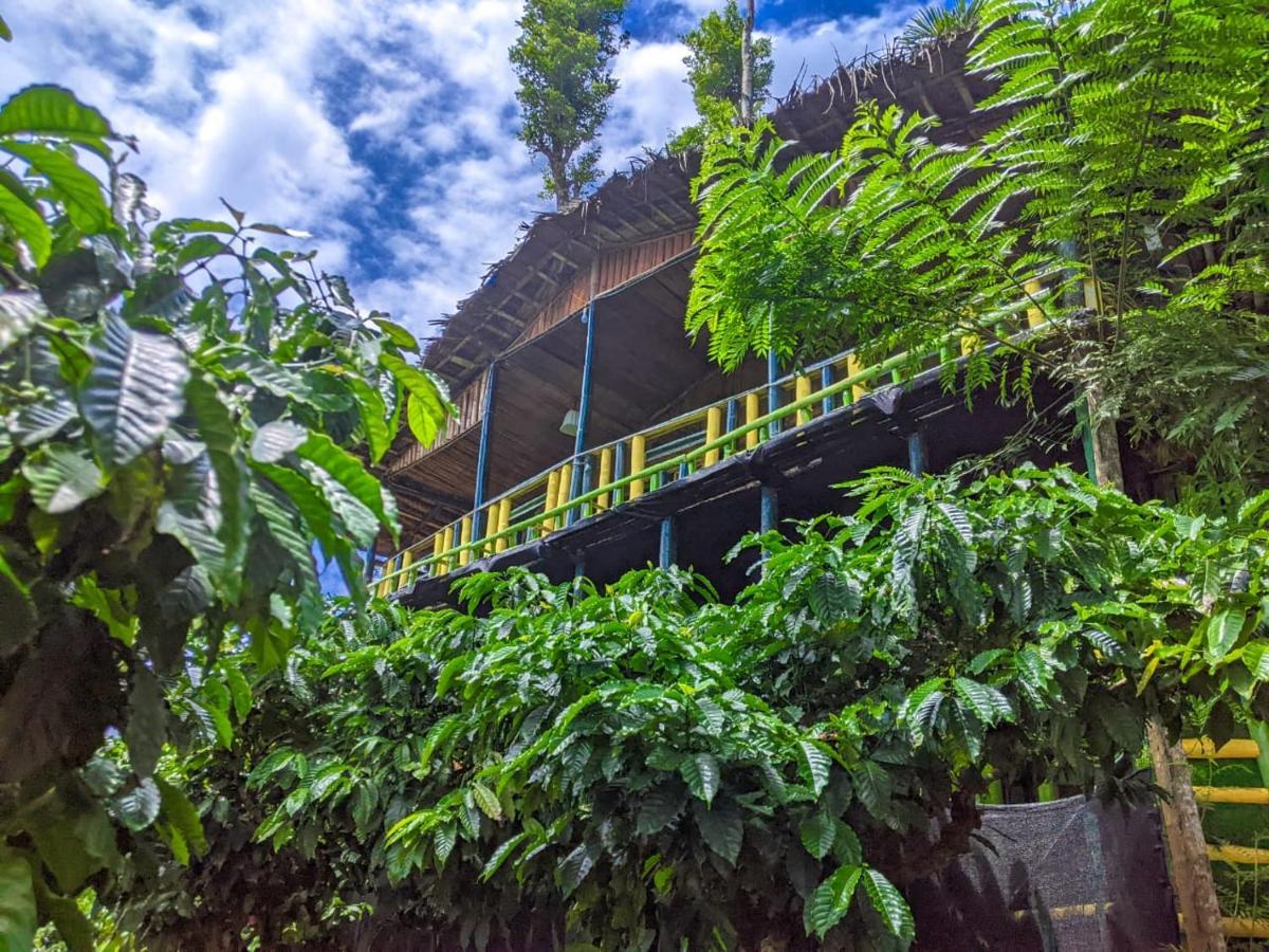 The Mountain Tree Home Wayanad Bagian luar foto